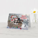 Search for dachshund christmas cards Puppy