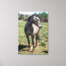 Search for profile canvas prints Animals