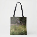 Search for herons bags Nature