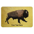 Search for bison magnets Canada