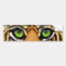 Search for tiger bumper stickers Wild