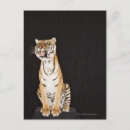 Search for tiger roaring postcards Aggression
