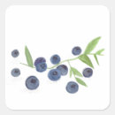 Search for blueberry fruit stickers Blueberries