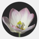 Search for flower of life stickers Black