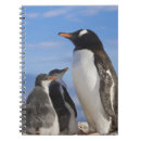 Search for habitat notebooks Wildlife