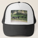 Search for grass hats Animal