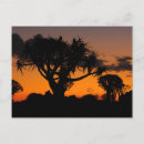 Search for namibia postcards Sunset