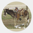 Search for burros stickers Mexico