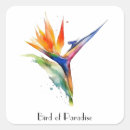 Search for birds of paradise stickers Exotic