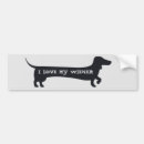 Search for i love my dachshund bumper stickers Wiener dog