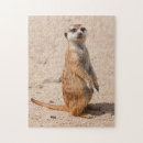 Search for meerkat puzzles Fun
