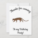 Search for carnivore cards Cat