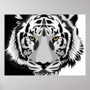 Search for black white tiger posters Nature