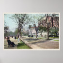 Search for large tree posters Grass