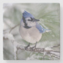 Search for blue jay barware Nature