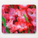 Search for joanne mousepads Savannah