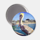 Search for beach day magnets Pier