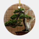 Search for bonsai christmas tree decorations Nature