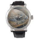 Search for tortoise watches Animals