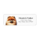 Search for pom return address labels Cute