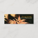 Search for maple photography Floral