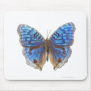 Search for butterfly mousepads Nature