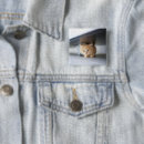 Search for fluffy badges Cat