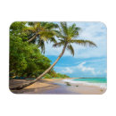 Search for coast rectangular magnets Sand