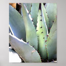 Search for agave posters Plant