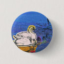 Search for swan badges River