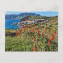 Search for madeira postcards Landscape