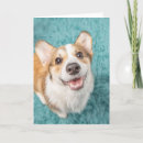 Search for smiling puppy cards Pembroke welsh corgi