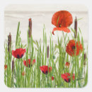 Search for field poppies stickers Nature