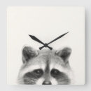 Search for raccoon clocks Animal