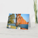 Search for horse racing cards Thoroughbred