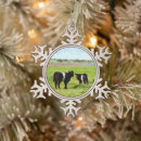 Search for scottish christmas tree decorations Calf