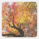 Search for autumn leaf stickers Landscape