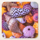 Search for sea shell coasters Ocean