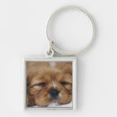Search for cavalier king charles key rings Animal