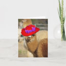 Search for alpacas cards For her