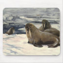 Search for iceberg mousepads Arctic