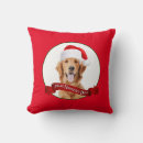Search for golden retriever christmas cushions Pet