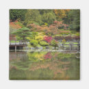 Search for jamie magnets Foliage