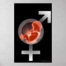 Search for foetus posters Reproduction