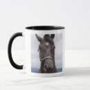 Search for horse eye mugs Animal body part