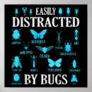 Search for beetle art Entomologist