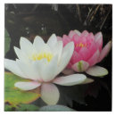 Search for water lily flower tiles Waterlilies
