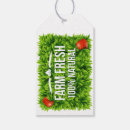 Search for grocery gift wrap Fruit