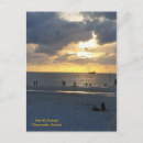 Search for 60 postcards Beach