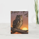 Search for owl cards Woods